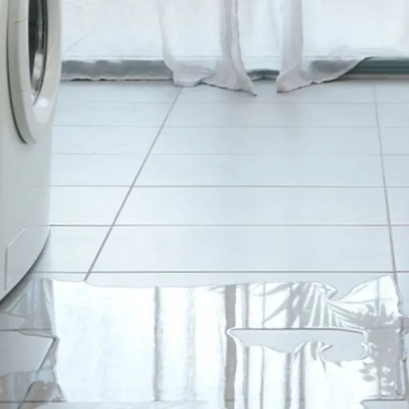 Appliance Leak Cleanup in Klahanie, WA