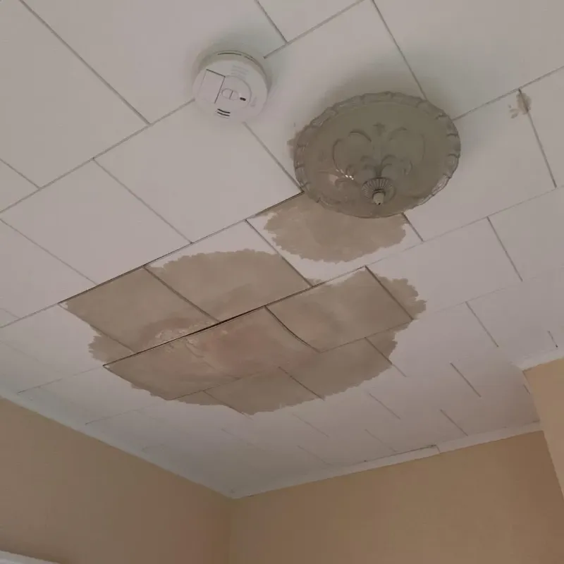 Ceiling Water Damage Repair in Klahanie, WA